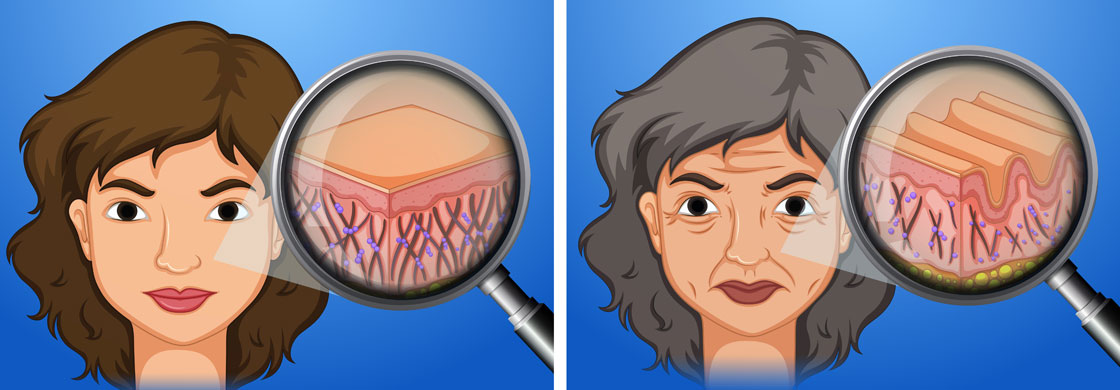 Kolagjeni detar: Gjithçka që duhet të dini për të!