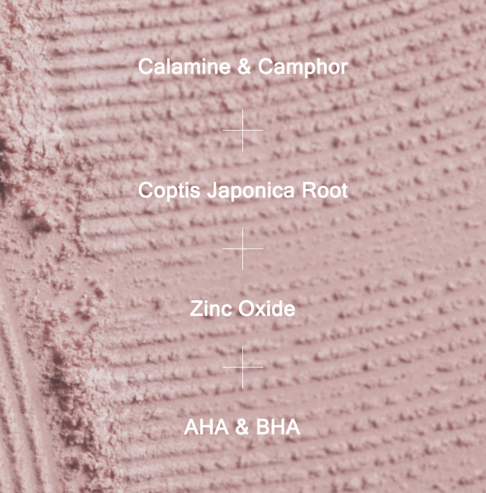 MIZON GOODBYE BLEMISH PINK SPOT