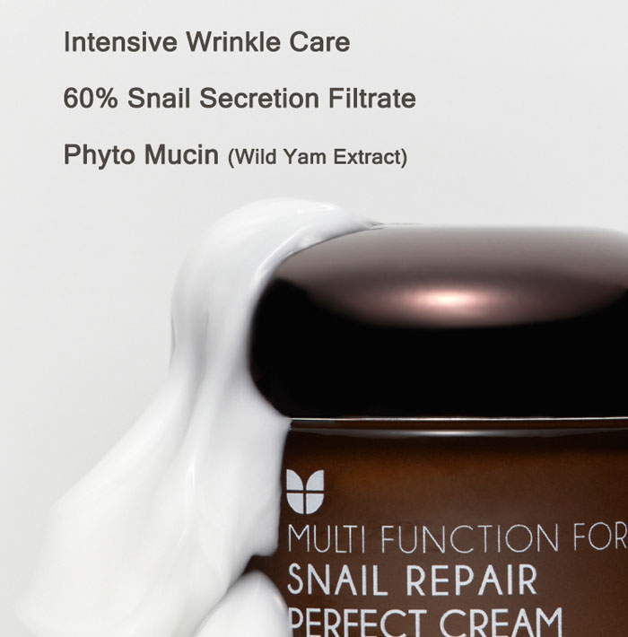 MIZON SNAIL REPAIR PERFECT CREAM