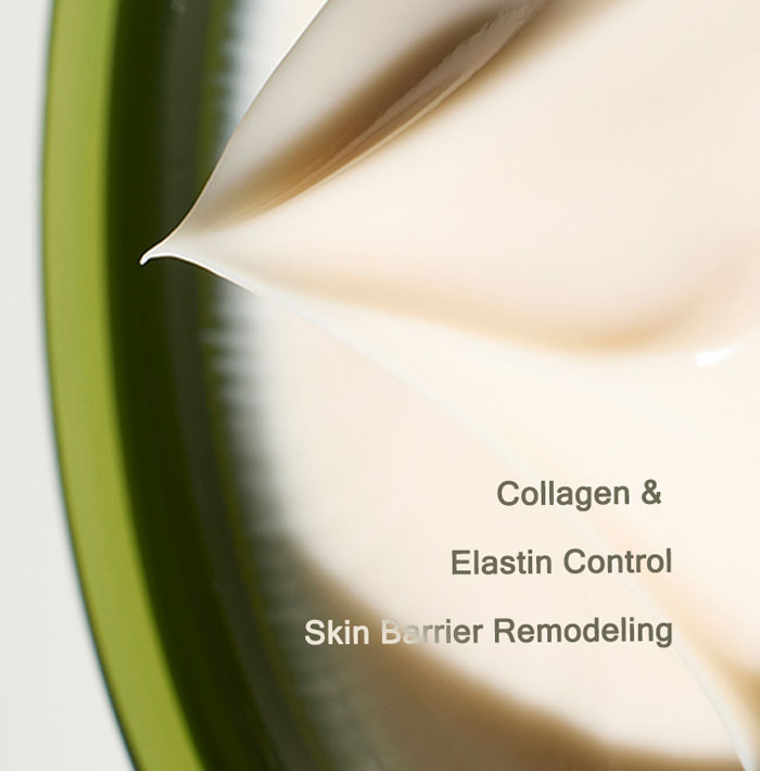 Mizon Peptide Ampoule Cream