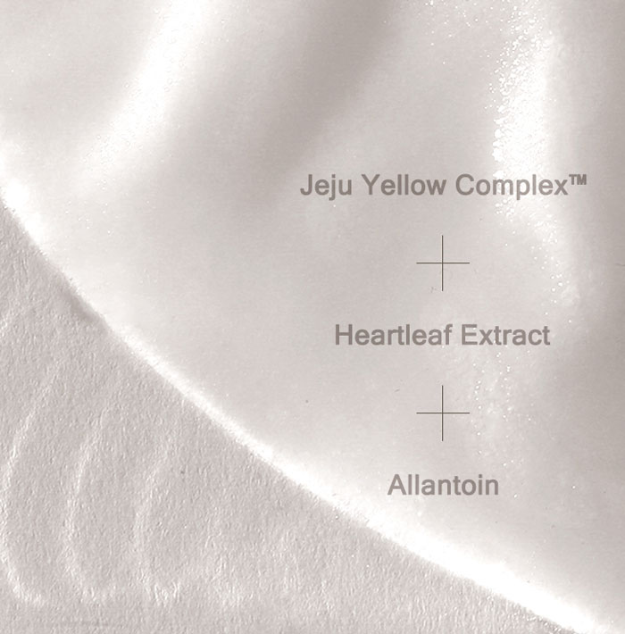 Mizon Joyful Time Mask Jeju [Heartleaf]