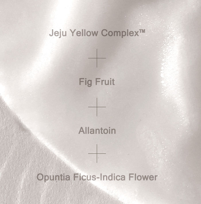 Mizon Joyful Time Mask Jeju [Fig]