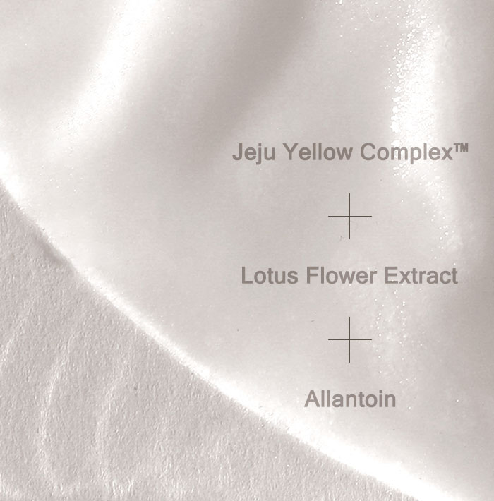 Mizon Joyful Time Mask Jeju [Lotus]