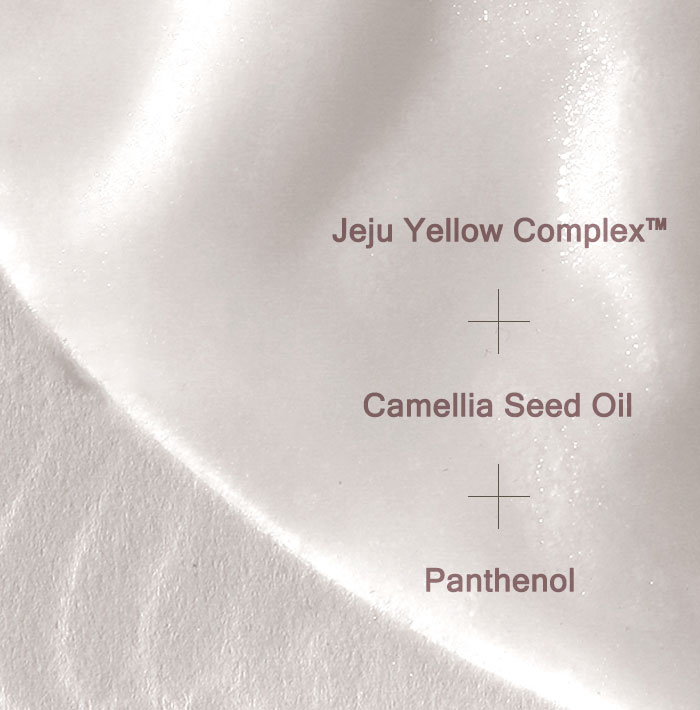 Mizon Joyful Time Mask Jeju [Camellia]