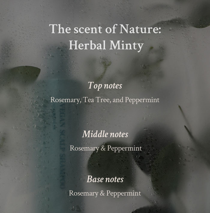 Village 11 Factory Vegan Deep Clean Scalp Shampoo