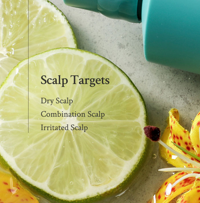 Village 11 Factory Vegan Deep Balance Scalp Shampoo