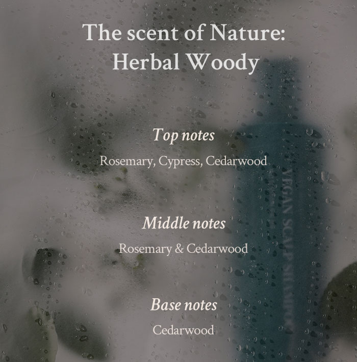 Village 11 Factory Vegan Deep Moisture Scalp Shampoo alternate