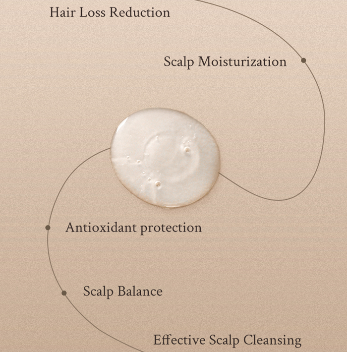 Village 11 Factory Perfume Musk Shampoo