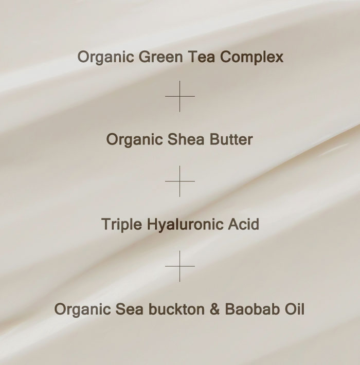 Mizon Orga Real Barrier Cream