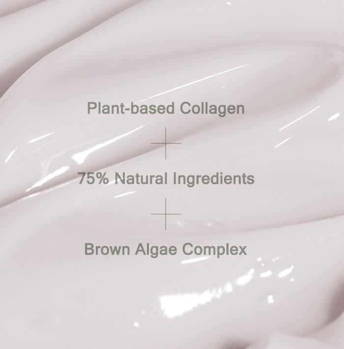 Mizon Phyto Plump Collagen Night Cream