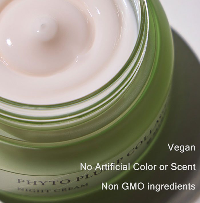 Mizon Phyto Plump Collagen Night Cream