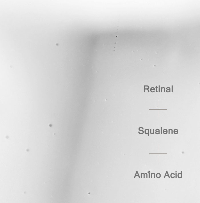 Mizon Youth Cleansing Milk