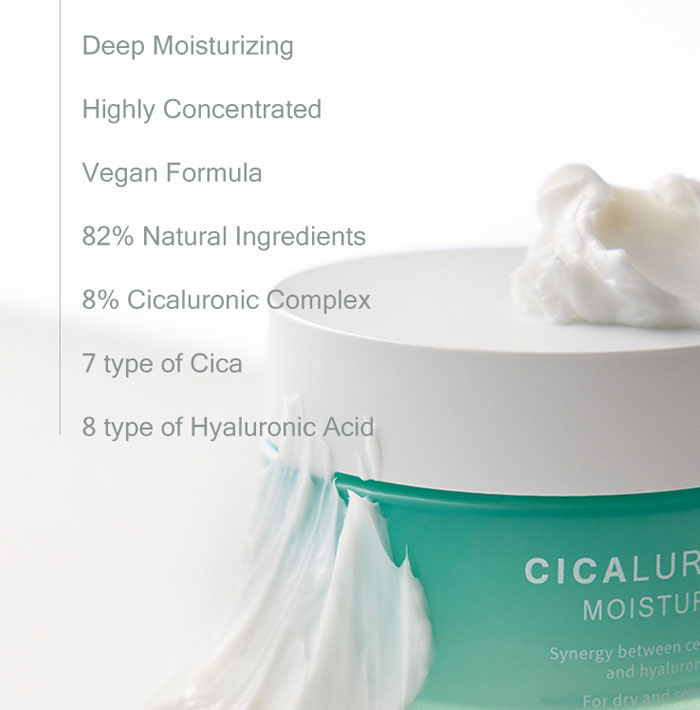 Mizon Cicaluronic Moisturizer alternate