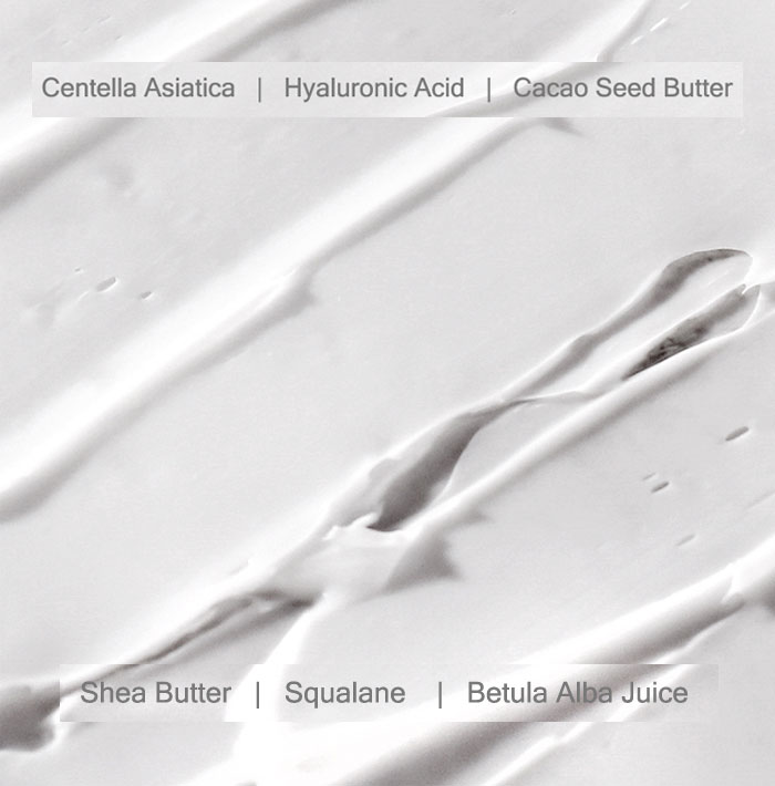 Mizon Cicaluronic Moisturizer