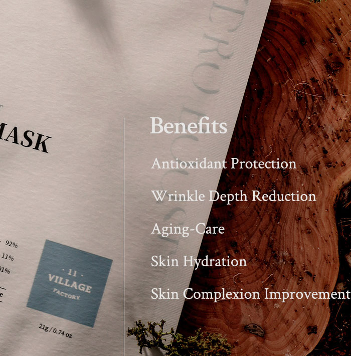 VILLAGE 11 FACTORY HYDRO BOOST SHEET MASK ALOE