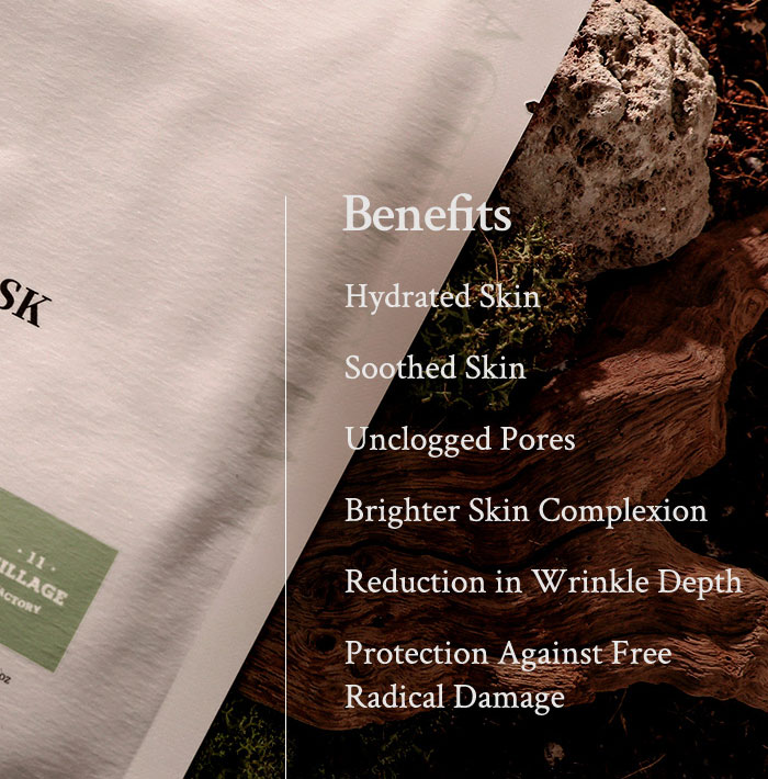 VILLAGE 11 FACTORY ACTIVE CLEAN SHEET MASK TEA TREE