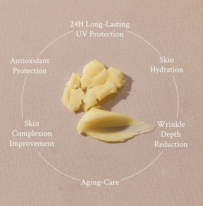 VILLAGE 11 FACTORY DAILY FRESH SUN STICK