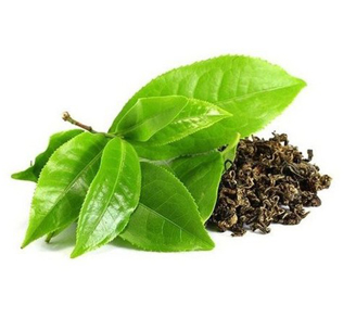 Orga Real Barrier Cream Green Tea Image