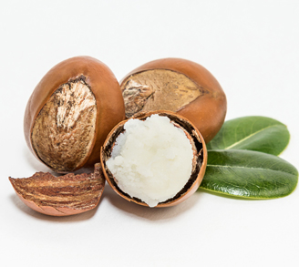 Orga Real Barrier Cream Shea Butter Image