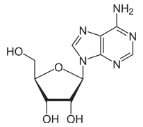 Placenta Ampoule Cream Adenosine Image
