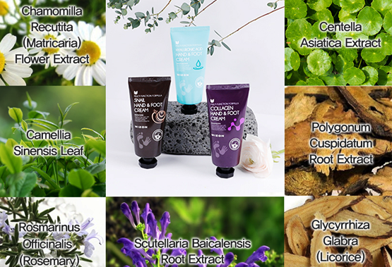 Hand & Foot Snail Cream Image