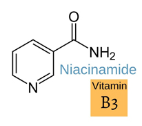 Placenta Ampoule Cream Niacinamide Image